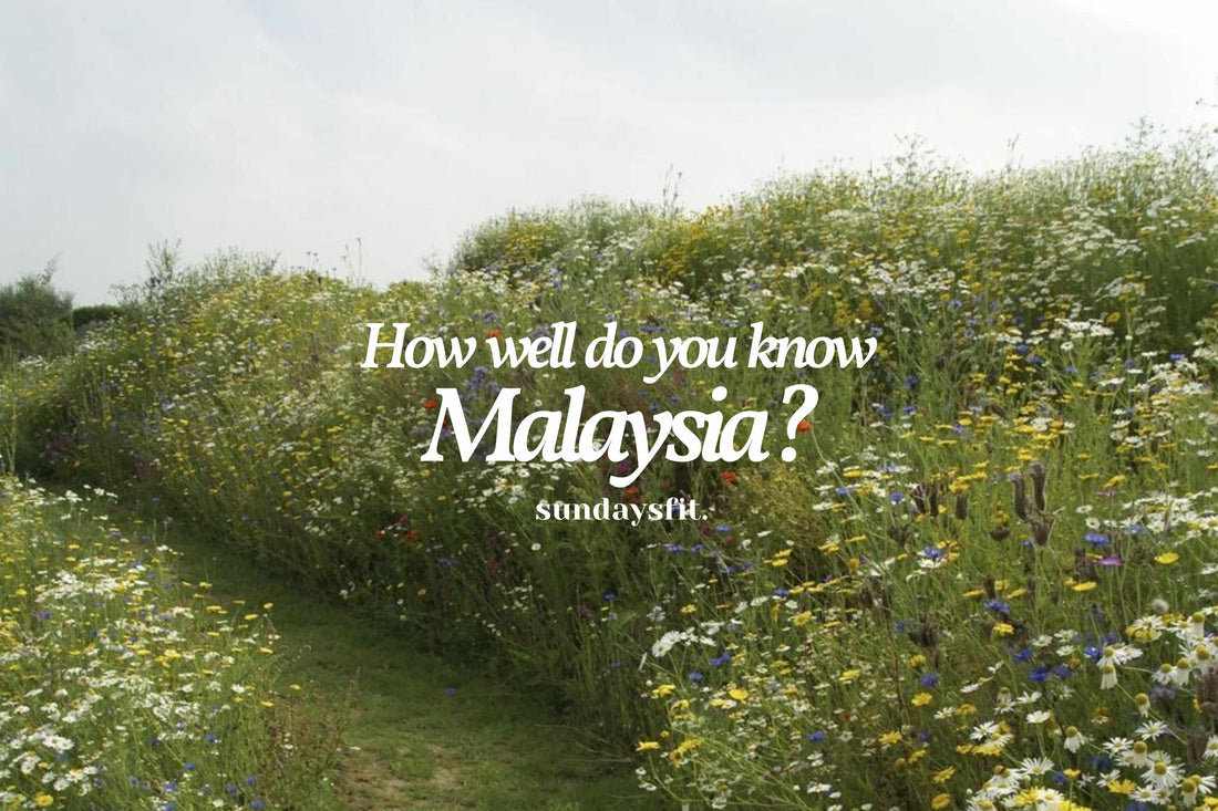 Malaysian Trivia for Merdeka Month
